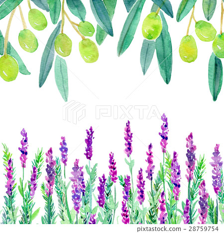 Watercolor illustration plant frame 28759754
