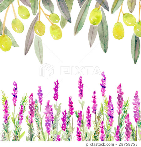 Watercolor illustration plant frame Watercolor illustration plant frame 28759755
