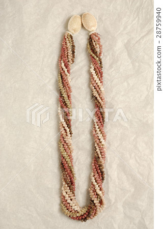 Nihau Shellley 28759940