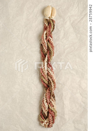 Nihau Shellley Nihau Shellley 28759942