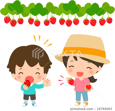 插图素材: 父母享受草莓采摘