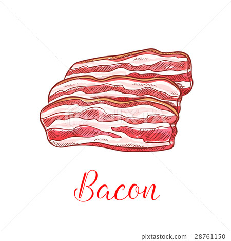 Bacon strip isolated sketch with pork meat slice 28761150