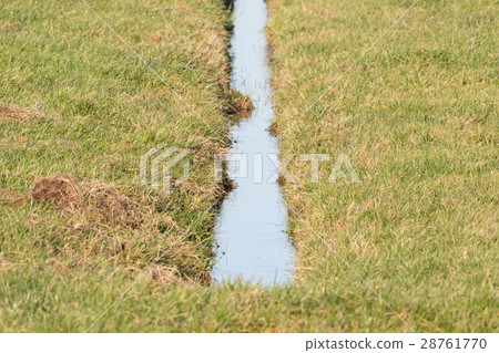 Ditch and meadows in waterland Friesland 28761770