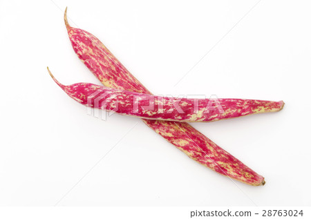 Quail beans 28763024