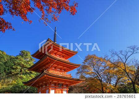 Kiyomasa Kiyomizu塔在秋天 Kiyomasa Kiyomizu塔在秋天 28765601