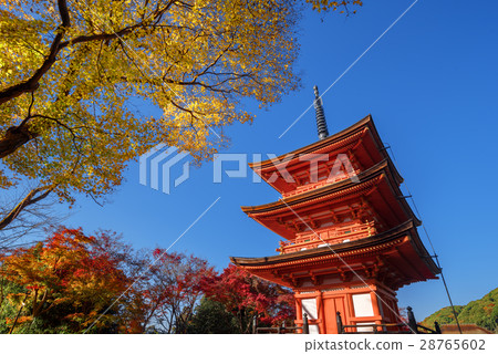 Kiyomasa Kiyomizu塔在秋天 Kiyomasa Kiyomizu塔在秋天 28765602