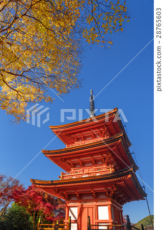 Kiyomasa Kiyomizu塔在秋天 Kiyomasa Kiyomizu塔在秋天 28765603