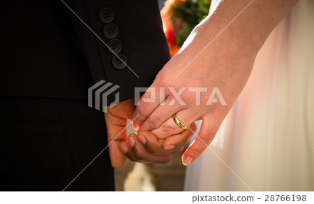 bride and groom hands 28766198