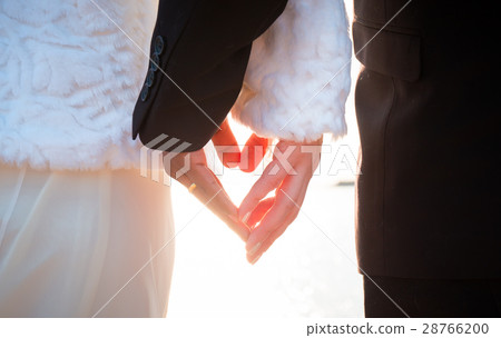 bride and groom hands 28766200