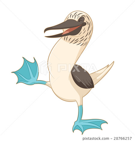 Cartoon happy Booby 28766257