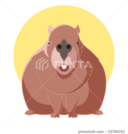 Cartoon smiling Capybara Cartoon smiling Capybara 28766262