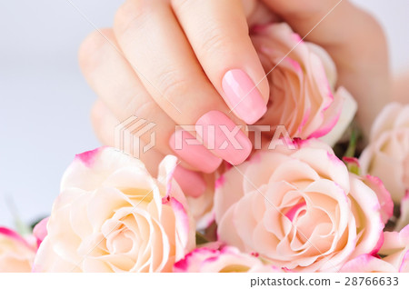 Hands of a woman with pink manicure on nails 28766633