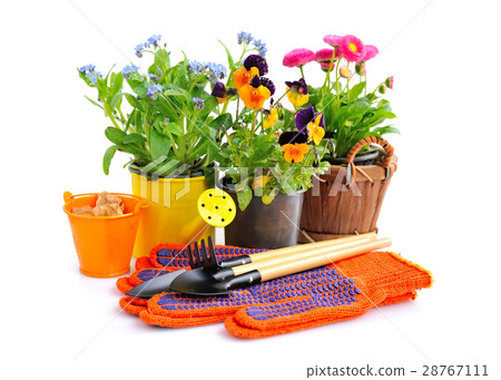 Gardening tools and spring flowers Gardening tools and spring flowers 28767111