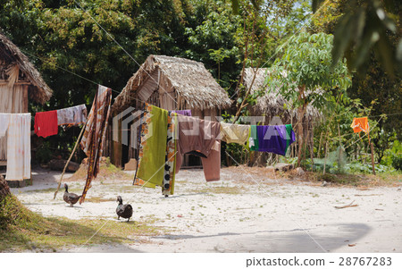 malagasy huts Maroantsetra region, Madagascar 28767283