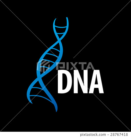 vector logo dna vector logo dna 28767418