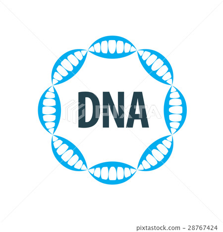 vector logo dna vector logo dna 28767424