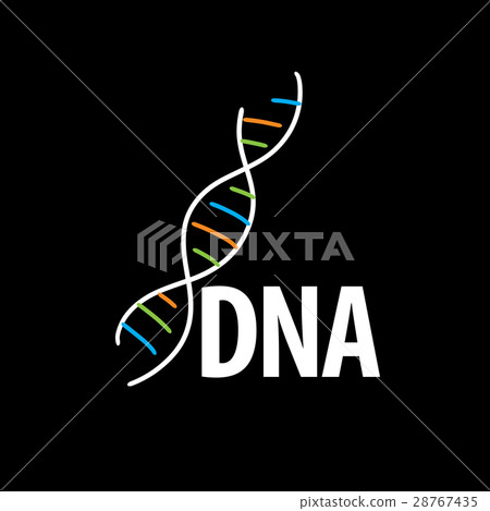 vector logo dna vector logo dna 28767435