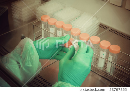 Lab technician takes sample from tube for test Lab technician takes sample from tube for test 28767863