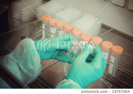 Lab technician takes sample from tube for test Lab technician takes sample from tube for test 28767864