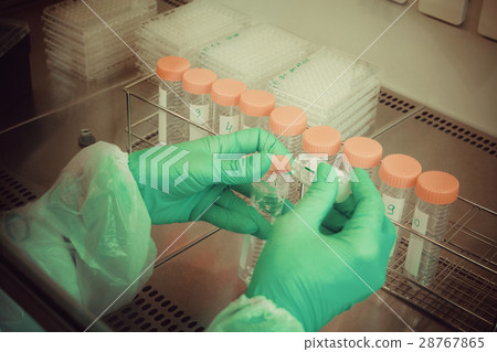 Lab technician takes sample from tube for test 28767865