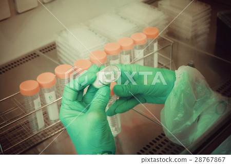Lab technician takes sample from tube for test Lab technician takes sample from tube for test 28767867