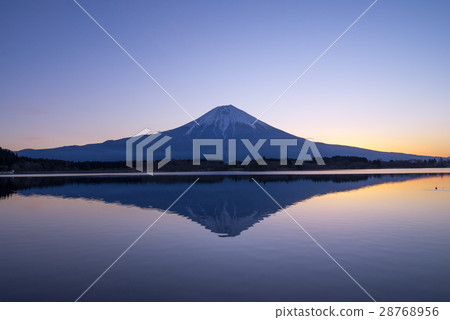 [Lake Tanuki, Shizuoka Prefecture] Mt. Fuji at dawn 28768956