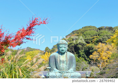 Kamakura Daibutsu [Hase Kotokuin] 28769402