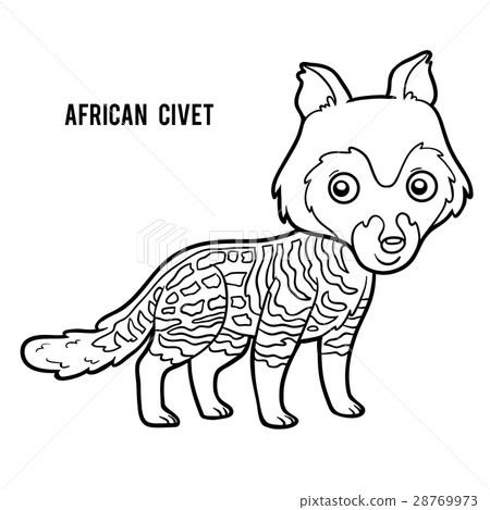 Coloring book, African civet Coloring book, African civet 28769973