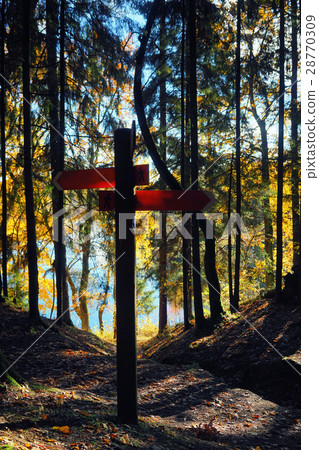 Direction signs for tourists in the autumn forest Direction signs for tourists in the autumn forest 28770309