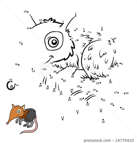 Numbers game, Black and rufous elephant shrew 28770420