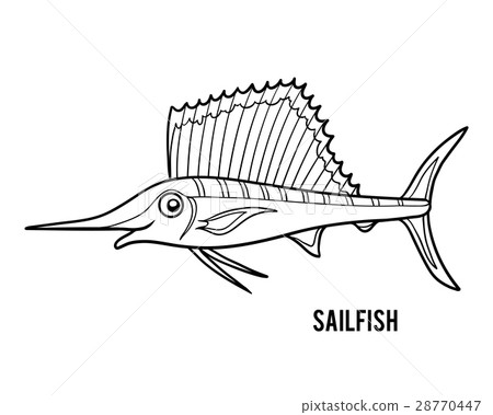 Coloring book, Sailfish 28770447