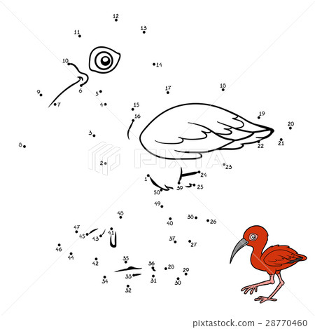 Numbers game, Scarlet ibis 28770460