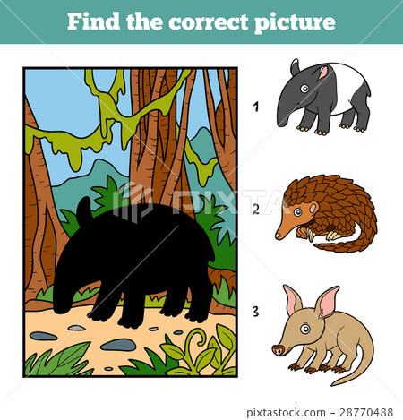 Find the correct picture. Malayan tapir 28770488