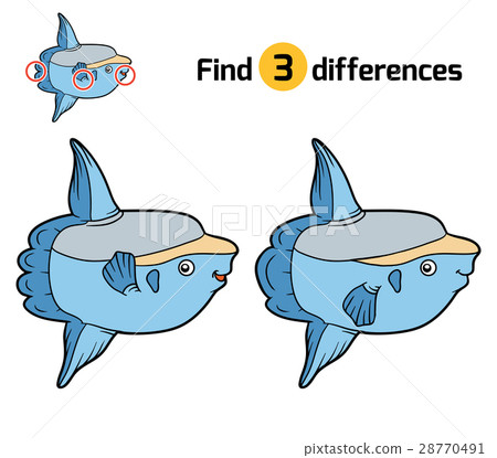 Find differences, Ocean sunfish 28770491