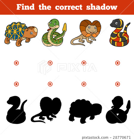 Find the correct shadow. Vector set of animals 28770671