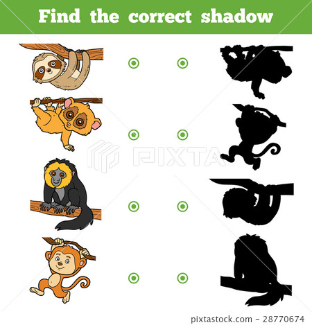 Find the correct shadow. Vector set of animals 28770674