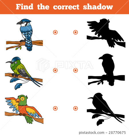 Find the correct shadow. Vector set of birds 28770675