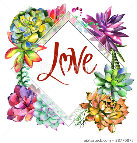 Wildflower succulentus flower frame in a Wildflower succulentus flower frame in a 28770875