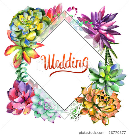 Wildflower succulentus flower frame in a Wildflower succulentus flower frame in a 28770877