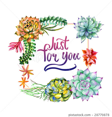 Wildflower succulentus flower frame in a Wildflower succulentus flower frame in a 28770878