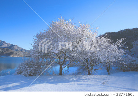 Lakeside in winter Lakeside in winter 28771603