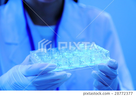 researcher  28772377