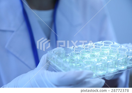 researcher  28772378