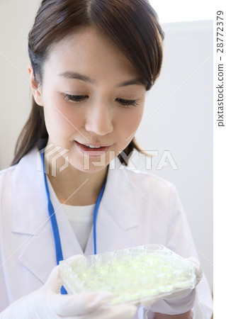 researcher  28772379