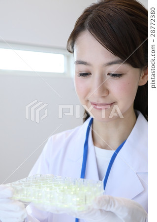 researcher  28772380