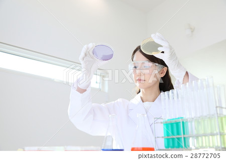 researcher researcher 28772705