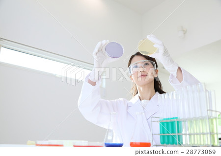 研究員 研究員 28773069