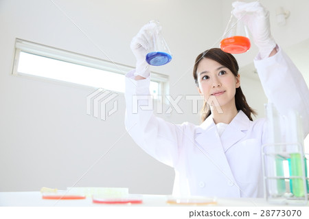 researcher  28773070