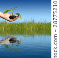 New life concept. 28775210