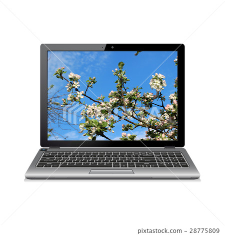 Laptop with apple blossoms wallpaper 28775809
